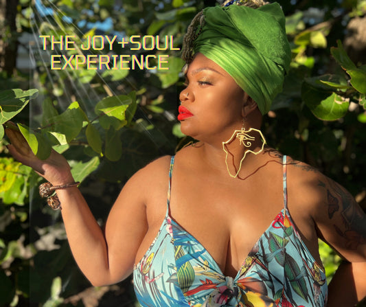 The Joy+Soul Experience Album Art Front Cover